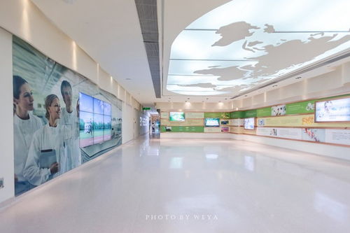 面面旅拍 探索奇妙科技工厂，坐拥海洋度假天堂，珠海尽情玩乐放纵一夏